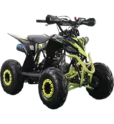 Квадроцикл RACER RAPTOR 110 от мотосалона Мото-Тайм