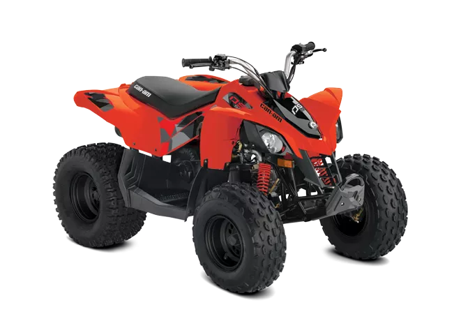 Квадроцикл DS 90 от мотосалона Мото-Тайм