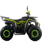 Квадроцикл FREELANDER PRO200 XTS от мотосалона Мото-Тайм