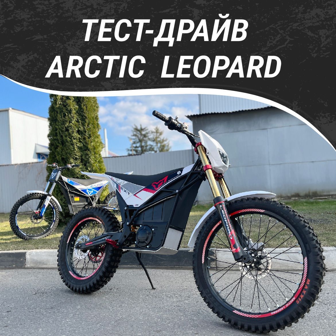 Тест-Драйв ARCTIC LEOPARD